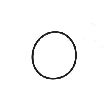 O ring koppeling Downtown 300i
