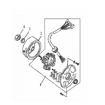 Ontsteking - Stator - Vliegwiel Generic Ideo 50 2-takt blauw 2007