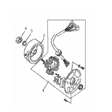 Ontsteking - Stator - Vliegwiel Generic Ideo 50 2-takt wit 2010