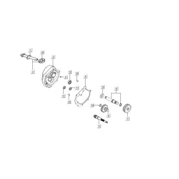 Vertanding - Overbrenging Kymco Agility FR 12" 4-takt Euro 4 bruin
