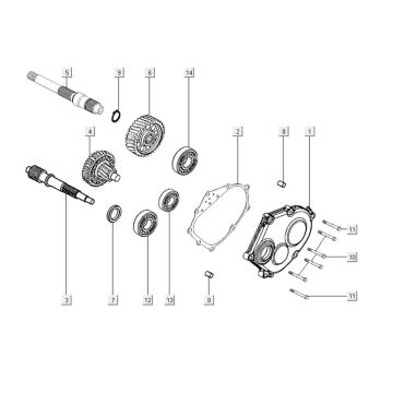 Vertanding - Overbrenging Kymco Downtown 300i wit