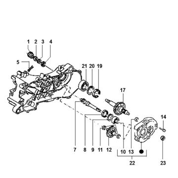 Vertanding - Overbrenging Piaggio Typhoon 50 2-takt AC 1998-2005