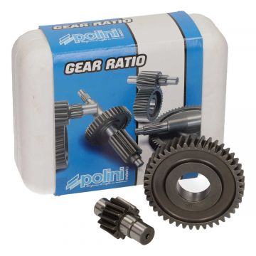 Overbrengingset secundair Vespa Primavera/Sprint/Piaggio Liberty/Zip 3V IGET 14/43 tands Polini 202.1414