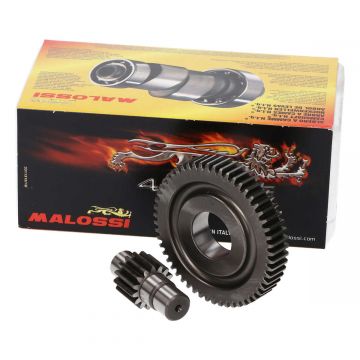 Secundaire overbrengingset Malossi Piaggio 50cc 15/55 tands Zip 3V Iget Euro4 2018-2020/Primavera-Sprint 3V/4V ←2020/Liberty 2/4-takt/New Fly 4V/Centro-Ciak 2V/Sportcity One-Scarabeo 2/4-takt 2V/4V 6711135