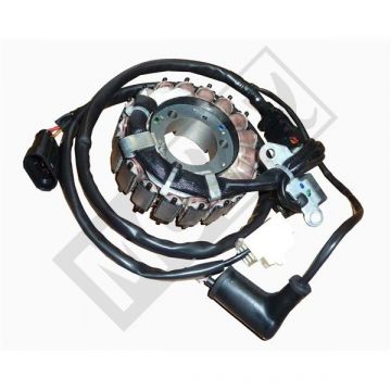 ONTSTEKING PIA VESPA GTS   125cc