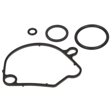 Pakkingset carburateur Honda Wallaroo SP