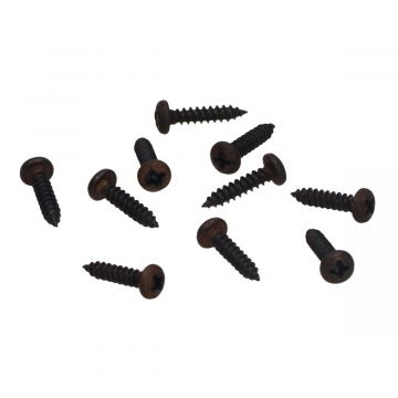 Parkerset 3.5x16mm zwart 10 stuks