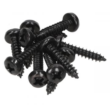 Parkerset 3.9x19mm zwart 10 stuks