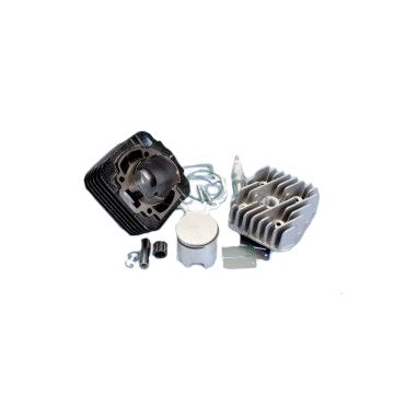 Cilinder met cilinderkop - Polini 70 cc Corsa- Piaggio AC 2-takt 140.0181/R