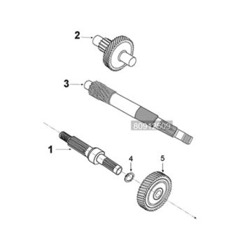 Gearbox - kickstarter Peugeot Tweet 125i E5 FL 2023-2025