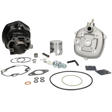 Cilinder met cilinderkop - Polini 70 cc Corsa- Minarelli horizontaal LC  166.0083/R