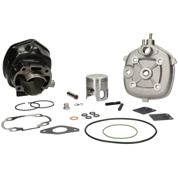 Cilinder met cilinderkop - Polini 70 cc Sport- Minarelli LC horizontaal 10mm pistonpen 166.0083