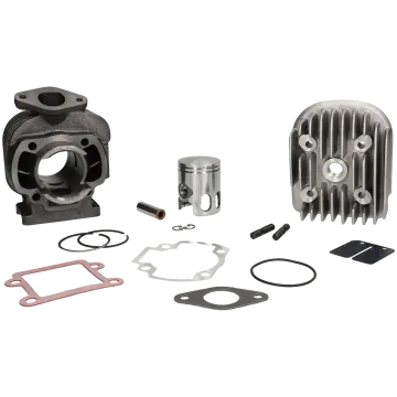 Cilinder met cilinderkop -Polini- 50 Sport - Minarelli verticaal AC 2-takt 166.0092