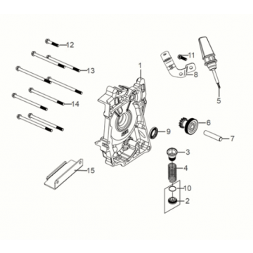 R. crank case cover Sym Symphony ST 50 E5