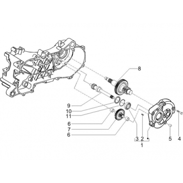 Vertanding - Overbrenging Piaggio NRG Power DD 50 2-takt LC 2007-2017