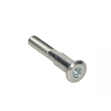 Rem schijf bout  50QT-E1-010205