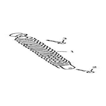 Schokbreker AGM GT champagne Schokbreker AGM GT champagne