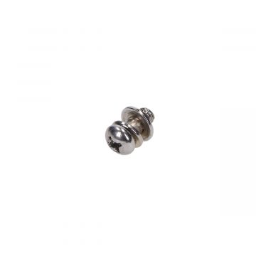 Schroef 6x10mm roestvrijstaal