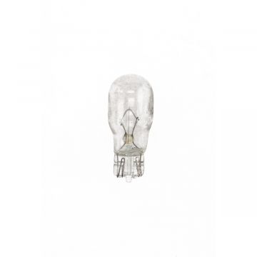 Steeklamp T13 12V 10W (model steek)