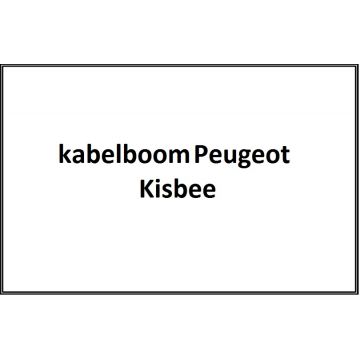 Kabelboom Peugeot Kisbee origineel Euro 4