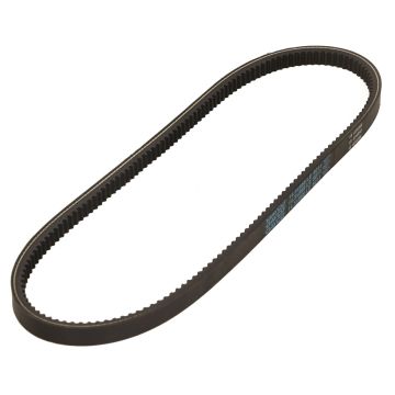 V-snaar 868x14.5mm Honda Scoopy Dayco/Pirelli 8011