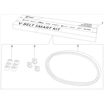 Kit V-snaar en variateurrollen Piaggio Beverly 300 ie ABS Euro 4 2016-2020