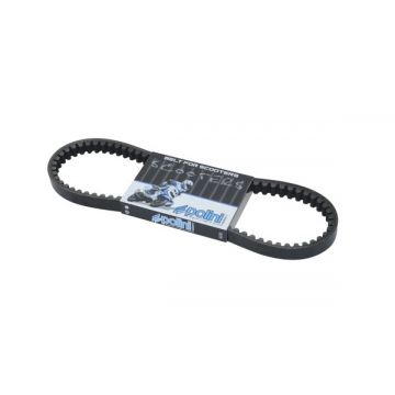 V-snaar Minarelli horizontaal+verticaal Polini 248.003