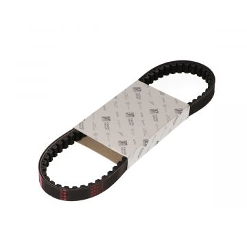 V-snaar (732x18.5)Piaggio kort carter 50cc 2/4-takt euro 2-4-5 50 Zip 2000→ 4-takt 2V-3V/Zip 2000→ 50 2-takt/Zip SP/ET2-ET4-LX-S-LXV 50 2-takt/4-takt 2V/4V 830488 origineel