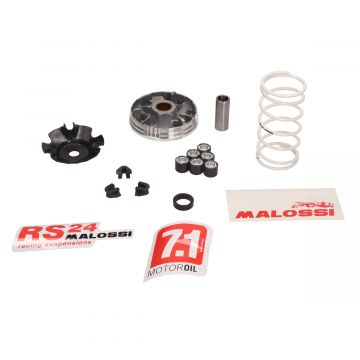 Variateurkit Malossi Multivar 2000 Piaggio 50cc 4-takt 2V-3V-4V Zip/LX/LXV/S/ET4/Liberty/Fly/Ciak/Centro/Torpedo/SXR/Sportcity One/Scarabeo/Primavera-Sprint 3V-4V 5111597