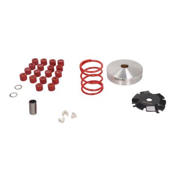 Variokit Piaggio 2-takt Yasuni pro-race 3.5/ 4.5/ 6.5 gram rollen