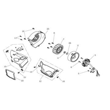 Ontsteking - Stator - Vliegwiel AGM Ape 50 bruin