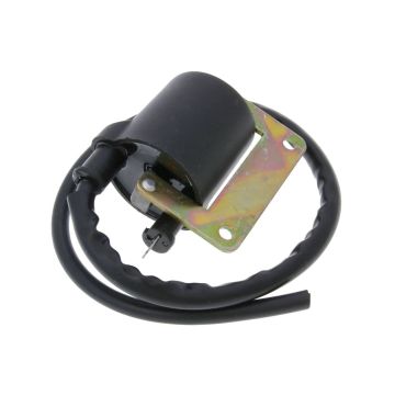Bobine 101 OCTANE voor Vespa Citta,Ciao,SI,Puch Maxi