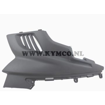 Zijscherm / motorscherm Kymco G-Dink 50 rechts
