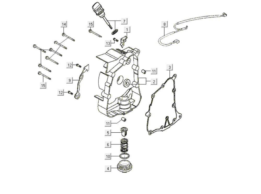 Carter - Peilstok - Oliefilter Kymco Like 200i Wit