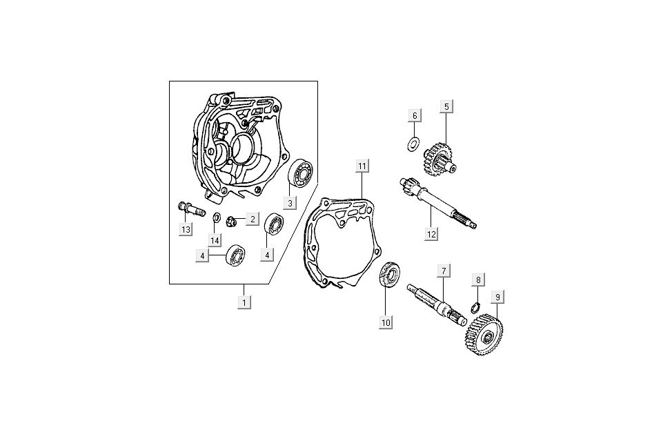 Vertanding - Overbrenging Kymco B&W LC 2-takt zilver