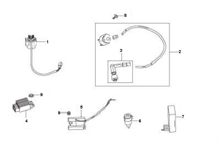 Elektrische delen Berini Speedy 4-takt