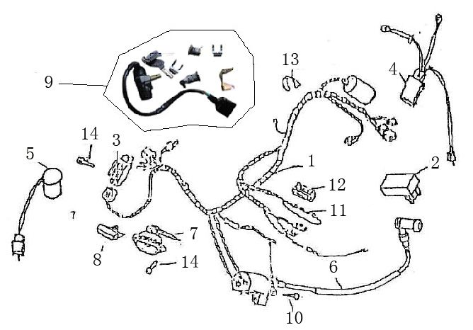 Kabelboom - Contactslot Giantco Grand Venus donkerblauw
