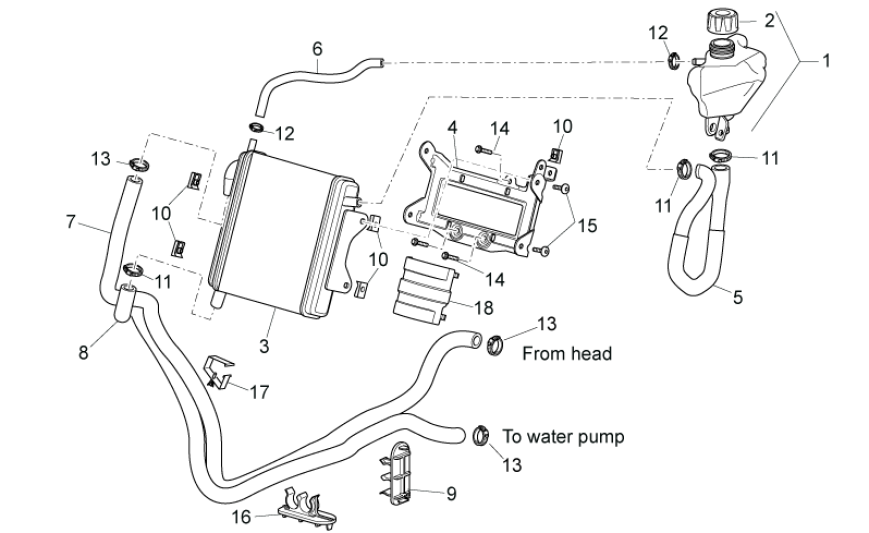 Radiateur - Koelslangen - Koelvloeistoftank Aprilia SR 50 LC (injectie en carburateur) 2004-2009