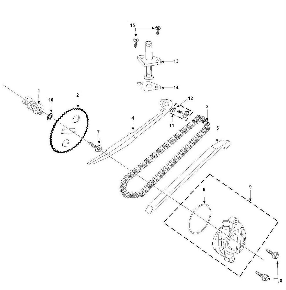 Nokkenas - Distributieketting- Kettinggeleiders Peugeot Tweet 50 4-takt AC