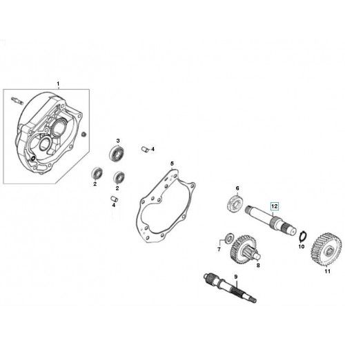 Vertanding - Overbrenging GY6 12 inch Euro 2 ←2018