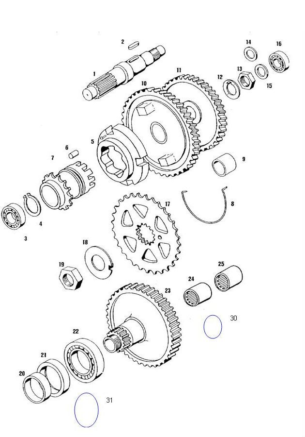 Vertanding - Overbrenging Tomos Luxe 50 2-takt Elektrische start 25km/u