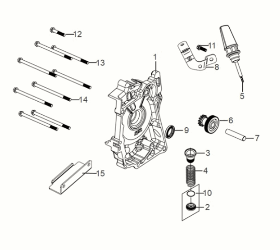 R. crank case cover Sym Symphony ST 50 E5