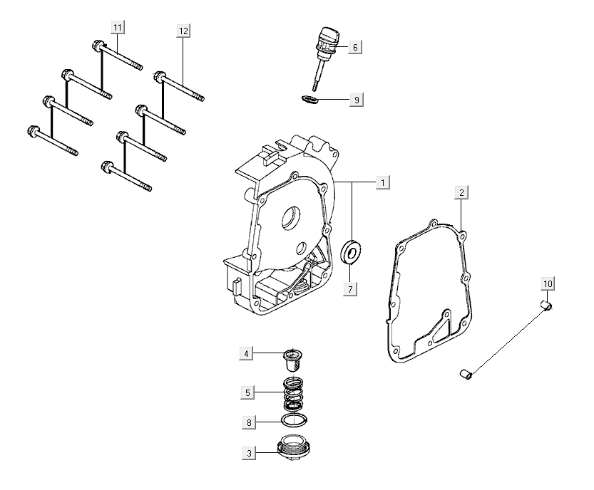 Right crankcase cover Kymco Super8 R E5