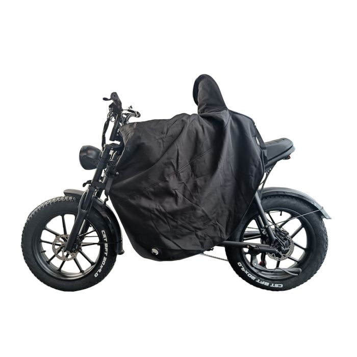Type 2 ebike cheap
