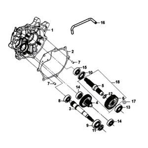 Aandrijfassen Sym Orbit III 125I E4