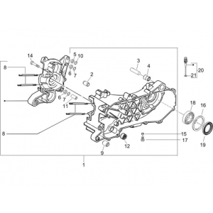 Carter Piaggio NRG Power DD 50 2-takt LC 2007-2017