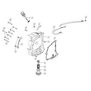 Carter - Peilstok - Oliefilter Kymco Agility 16+ 200i Mat Metallic Silver