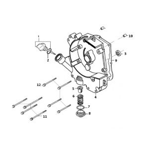 Carterhelft rechts GY6 10 / 12 inch Euro 4 2018→ p tm s
