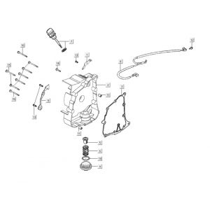 Carter - Peilstok - Oliefilter Kymco Agility City 16 200i