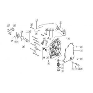 Carter - Peilstok - Oliefilter Kymco Downtown 125i
